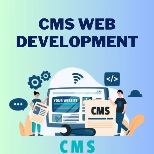 Custom CMS Development Services | CMS Web Application Development in Las Vegas